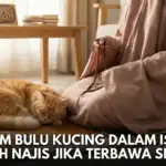Seorang wanita muslimah mengenakan mukena berwarna cokelat sedang duduk di atas sajadah sambil memegang tasbih. Seekor kucing oranye tidur melingkar di sampingnya di atas sajadah yang sama. Latar belakang adalah ruang tamu yang terang dengan meja kayu, tumpukan buku, dan bingkai kaligrafi bertuliskan "La ilaha illallah Muhammadur Rasulullah". Teks putih besar di bagian bawah gambar berbunyi: "HUKUM BULU KUCING DALAM ISLAM: APAKAH NAJIS JIKA TERBAWA SHOLAT?".