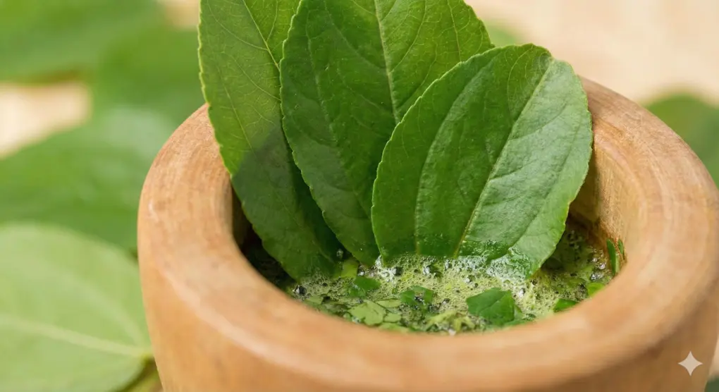 Foto makro daun bidara (Sidr) segar di dalam lumpang kayu, sebagian telah ditumbuk hingga mengeluarkan busa hijau alami, menunjukkan fungsinya sebagai pembersih.