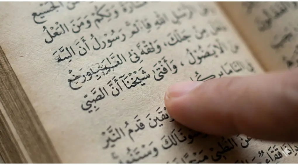 Teks Arab gundul dalam kitab Fathul Mu'in pada bagian 'wa afta syaikhuna' tentang najis bayi.