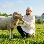 A neatly dressed Muslim man inspecting a healthy ram for Eid al-Adha sacrifice in a green meadow with a mosque in the background.