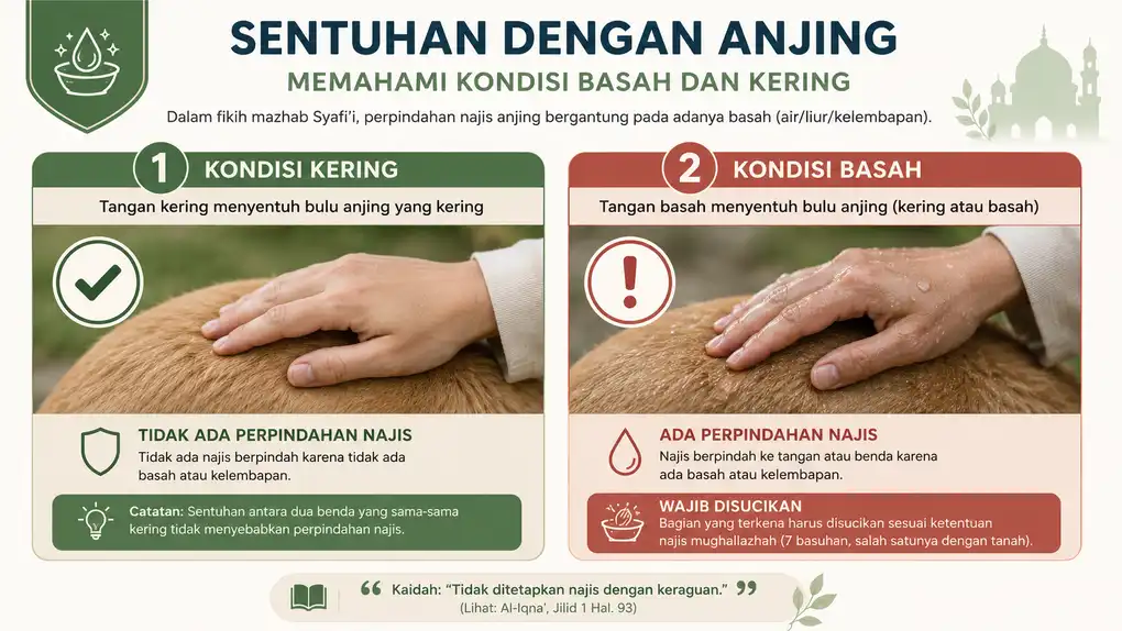 Infografik dua panel tentang tangan kering menyentuh bulu anjing kering dan tangan basah menyentuh bulu anjing dalam fikih Syafi’i.
