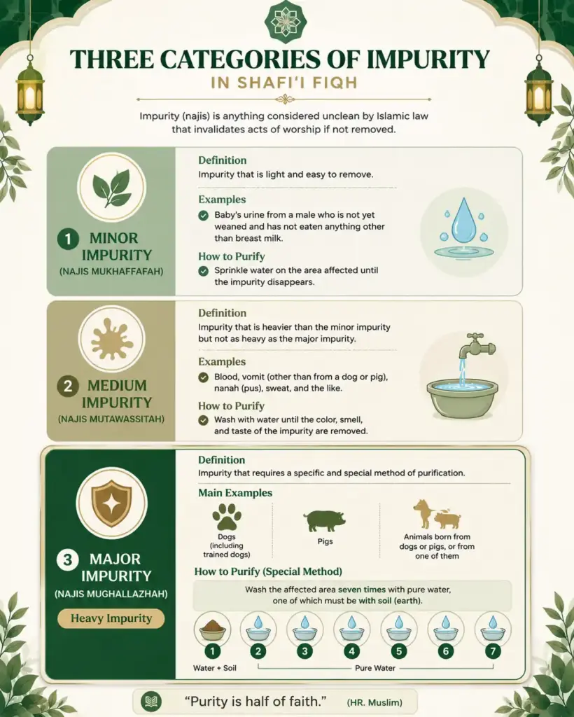 infographic explaining the three categories of impurity in Shafi‘i fiqh: mukhaffafah, mutawassithah, and mughallazhah.